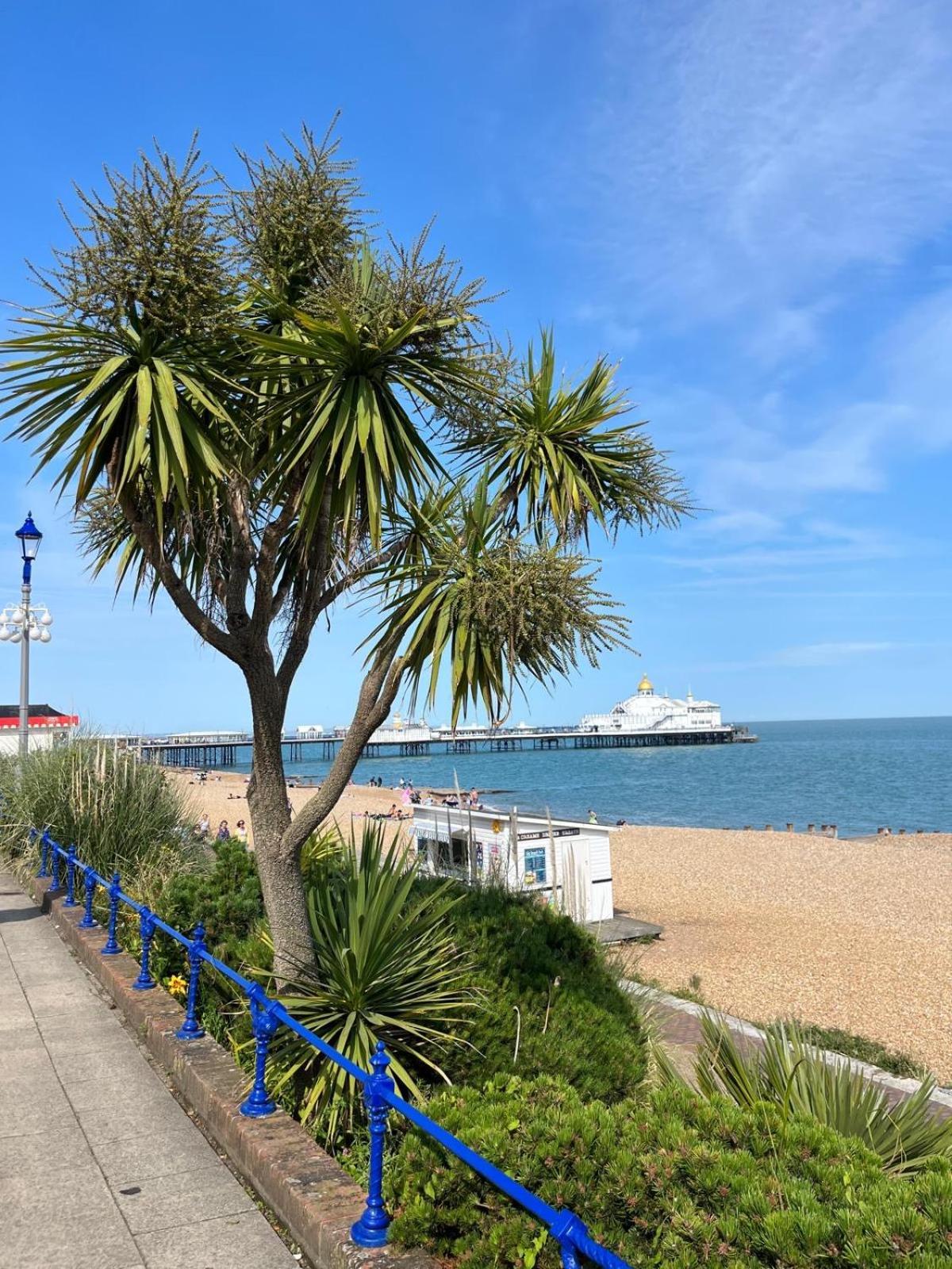 "The Parlour" Seafront Apartment Eastbourne Exterior photo